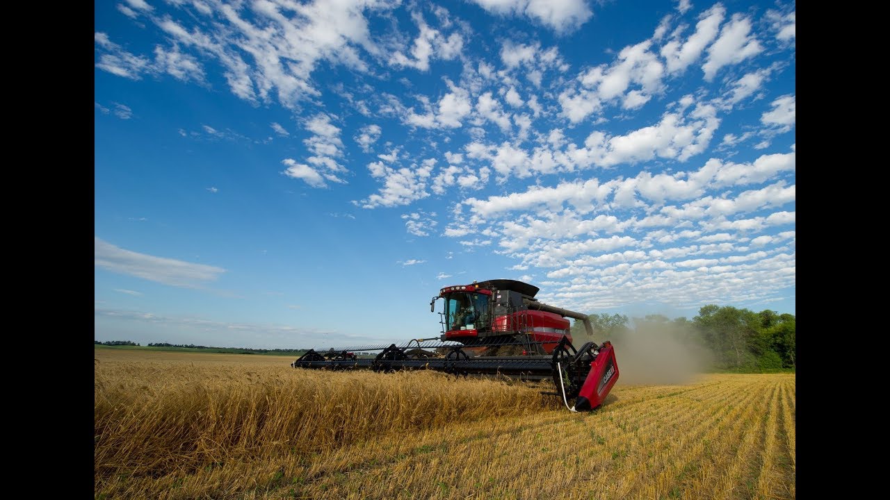 Martinson Ag Risk Management