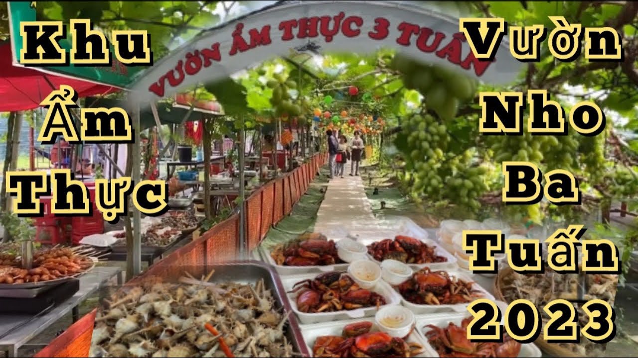 Hành Trình Tham Quan Vườn Nho Ẩm Thực Ba Tuấn 2023 ( Long Khánh B, Hồng Ngự, Đồng Tháp )
