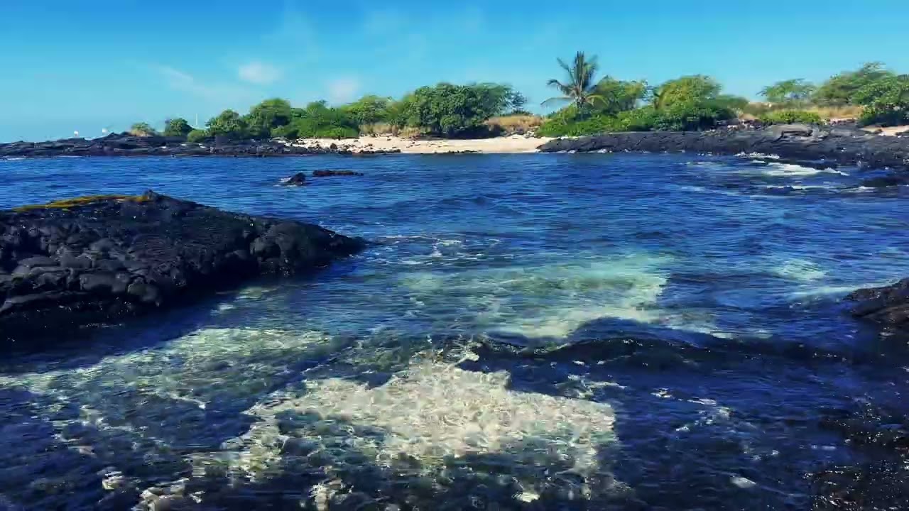 One Day at Old A’s 2 of 2 - Island Horizon Videos 2081