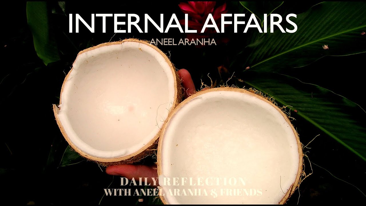 February 10, 2021 - Internal Affairs - A Reflection on Mark 7:14-23 by Aneel Aranha