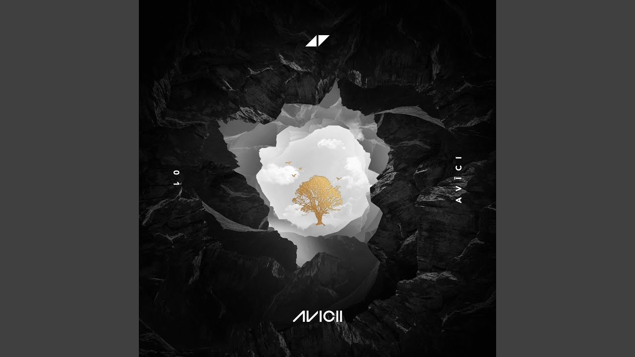 So Much Better (Avicii Remix)