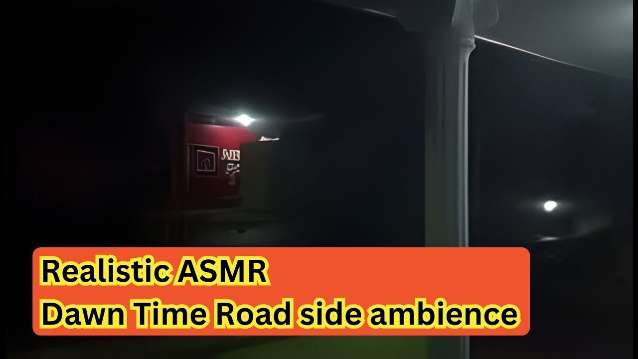 Dawn Roadside Ambience | Early Morning Peaceful ASMR Sounds Before Sunrise