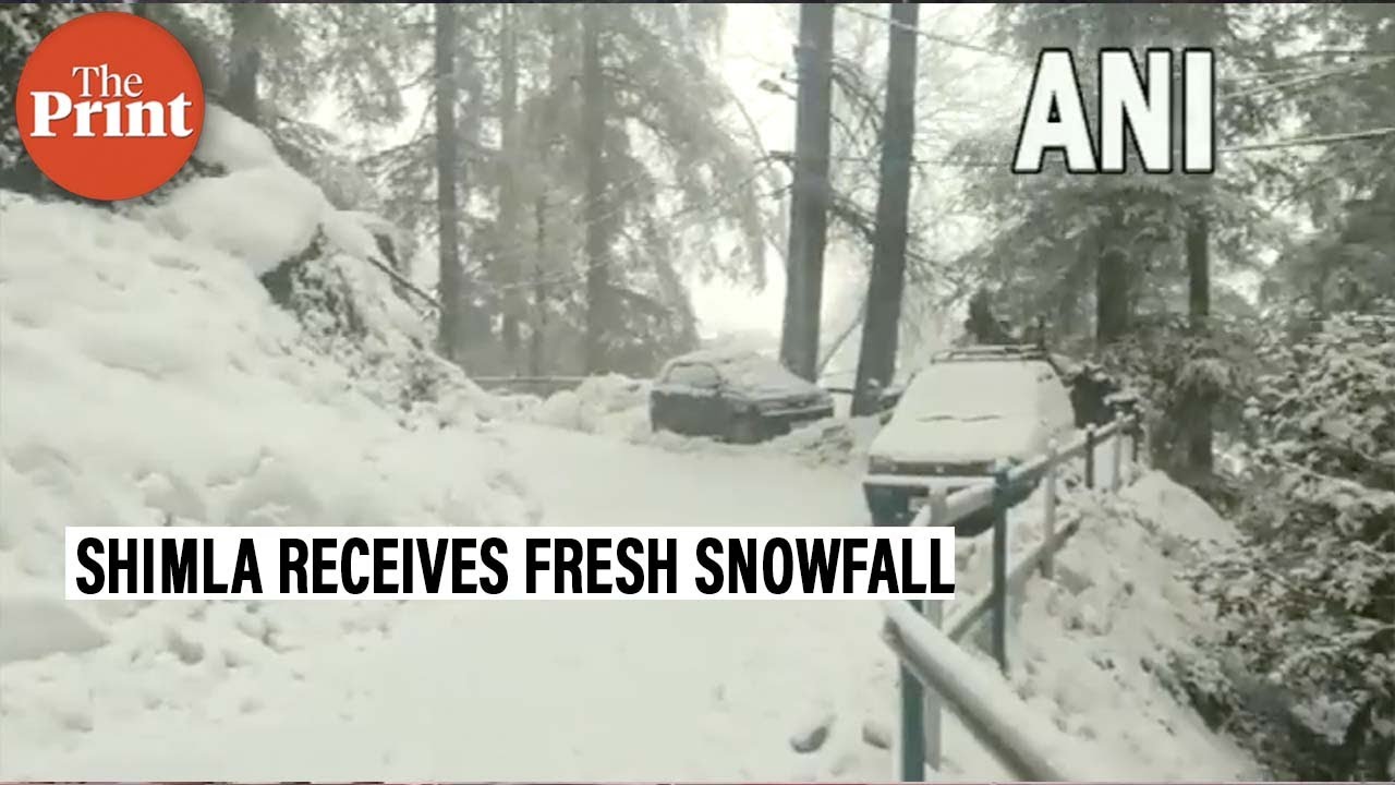 Shimla receives fresh snowfall after light rain, road transport affected