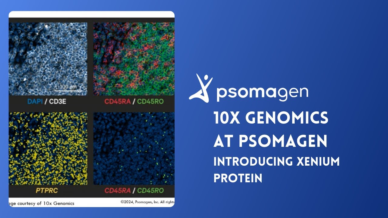 10x Genomics at Psomagen | Introducing Xenium Protein