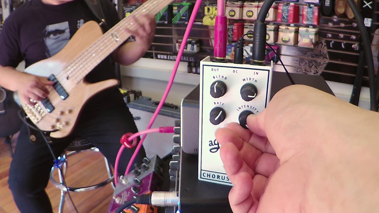 Chorusaurus Aguilar Amplification - Patricio Tobar | EAS Limitada