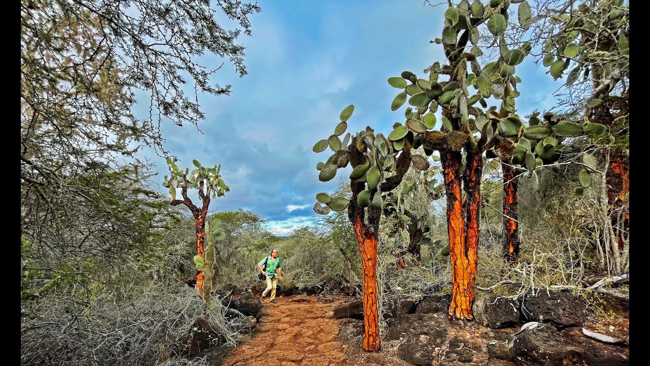 FIELD TRIP WITH PATRICK BLANC IN GALAPAGOS