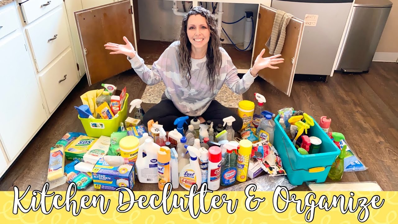 Hoarders ❤️ Under the Kitchen Sink Organization | Extreme Declutter & How to Organize on a Budget