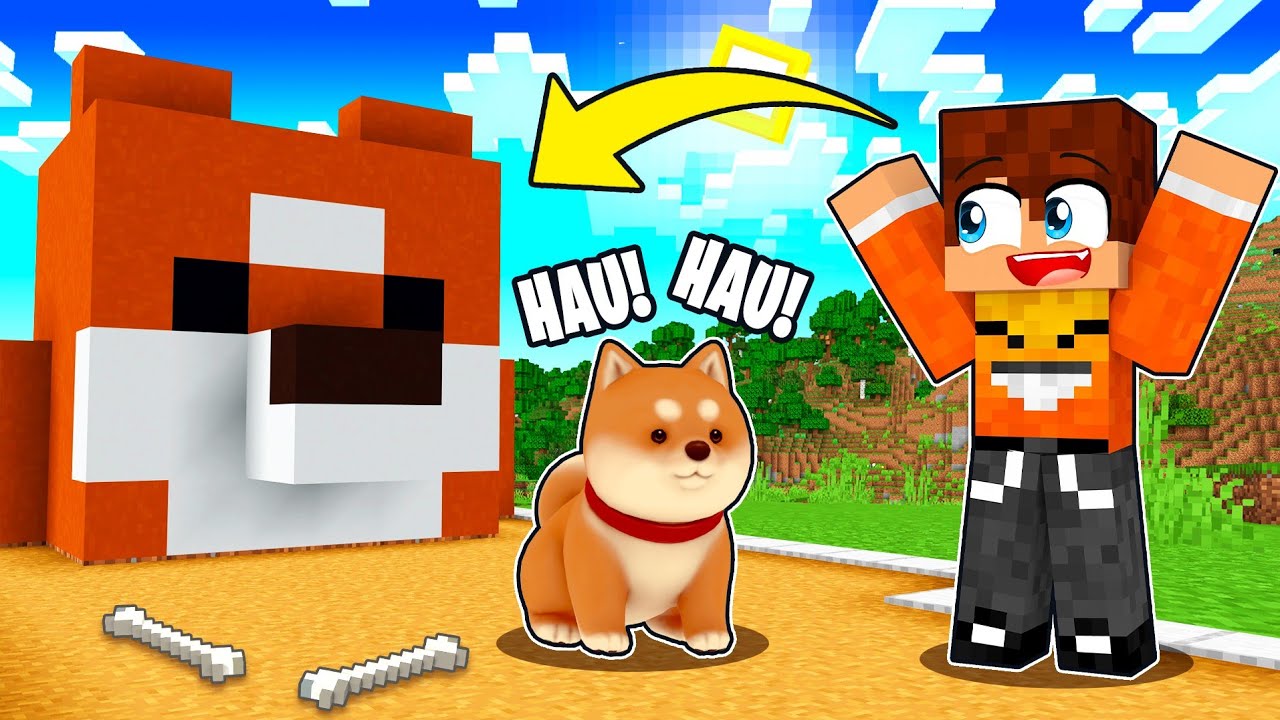Zbudowaliśmy DOMEK DLA PIESKA SHIBA w Minecraft!