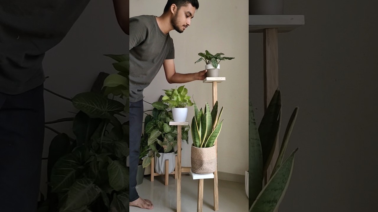 Tiered plant stand #plants #decor #interiordesign