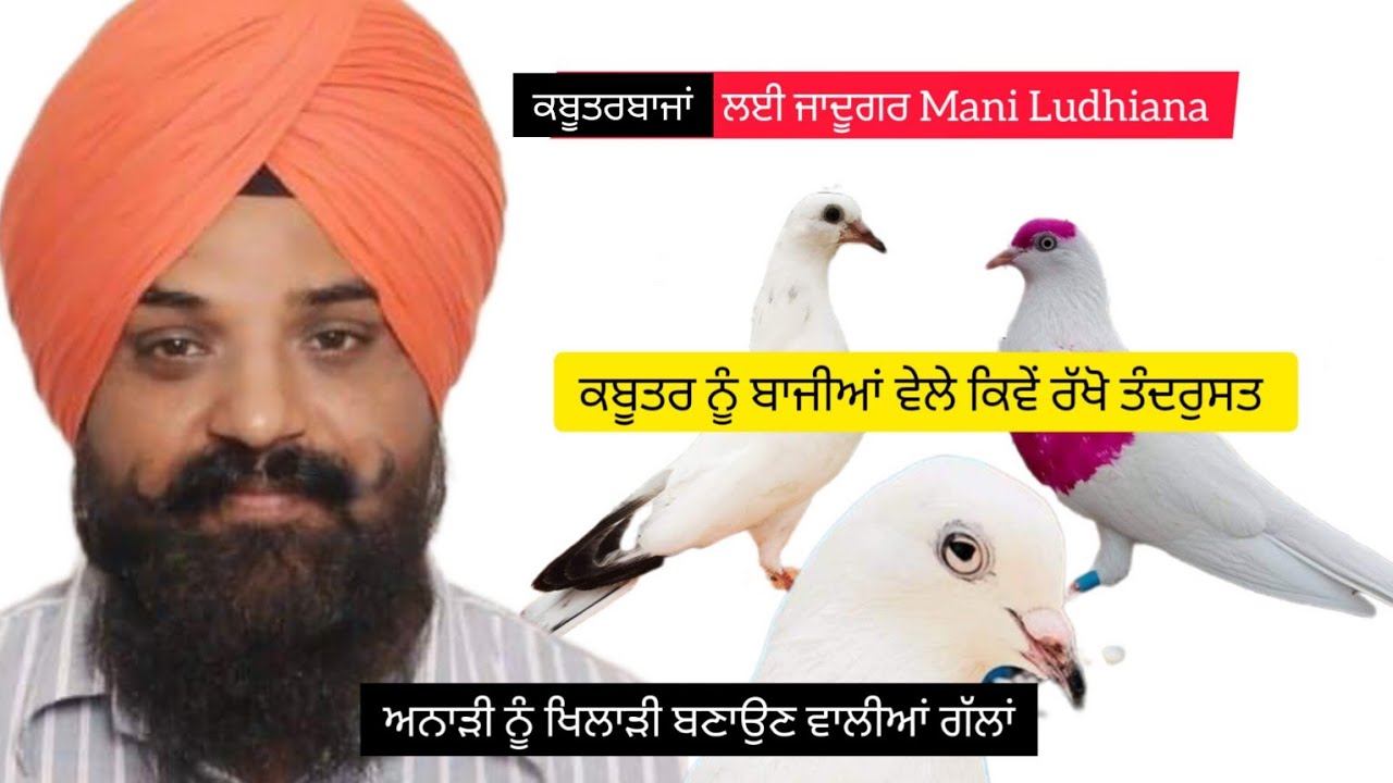 Ik Shonk kabootarbaazi Da Full Interview Mani Ludhiana Ghumni Da Ilaz