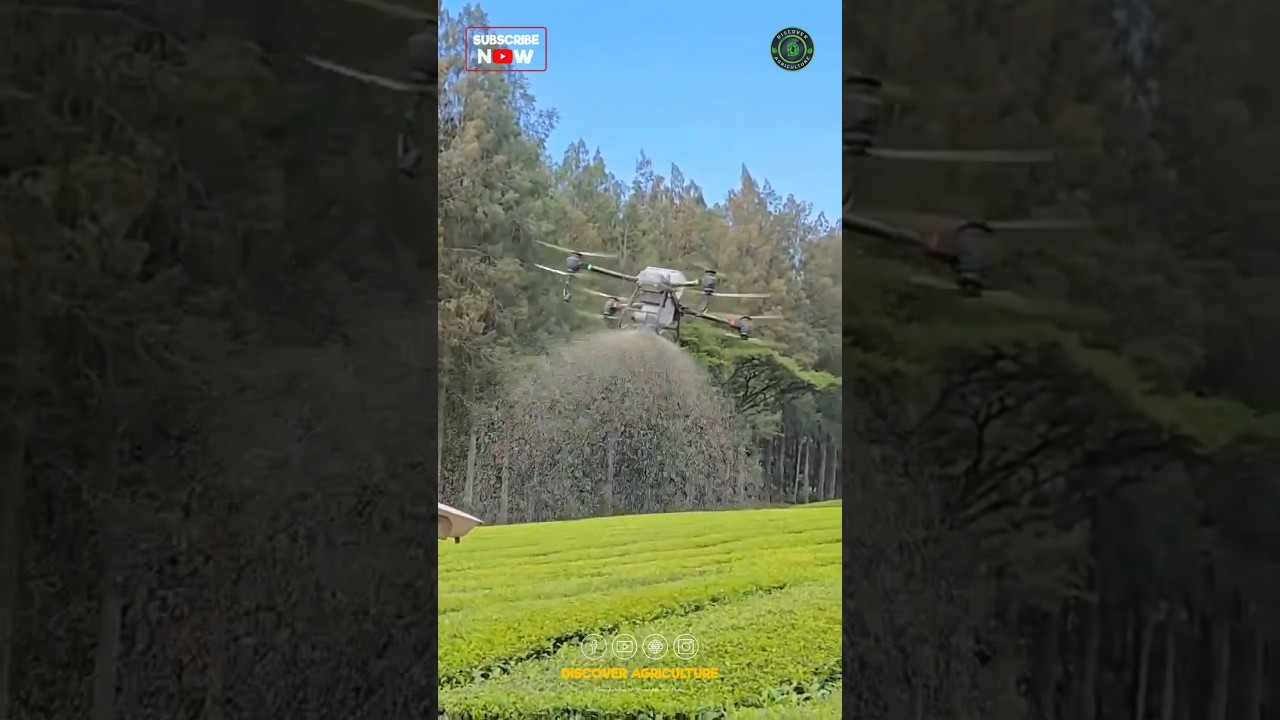 Amazing Fertilizer Spreading Agriculture Drone Machine