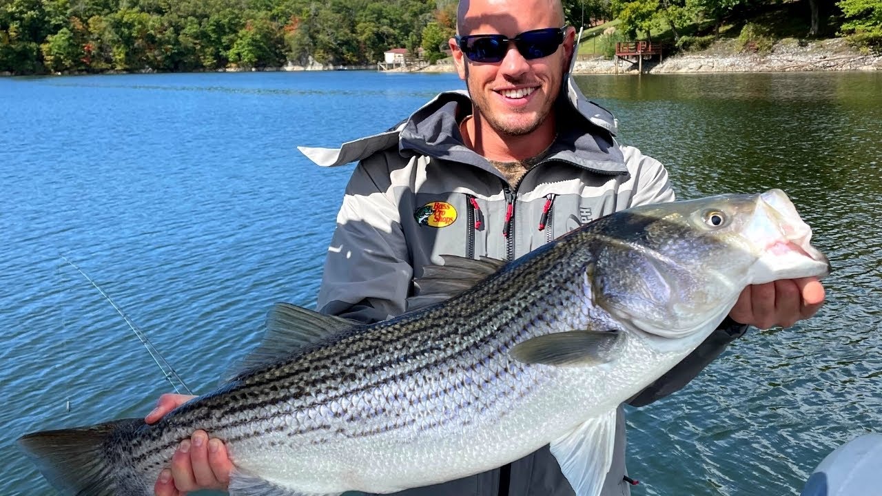Massive Striper Fishing | Catch n' Cook a Monster!