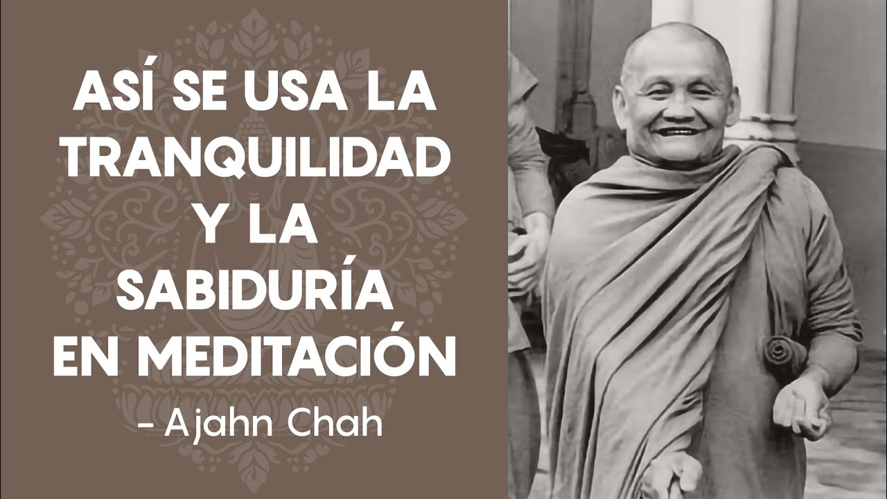 Usando la Tranquilidad y la Sabiduría - Ajahn Chah | Budismo Theravada