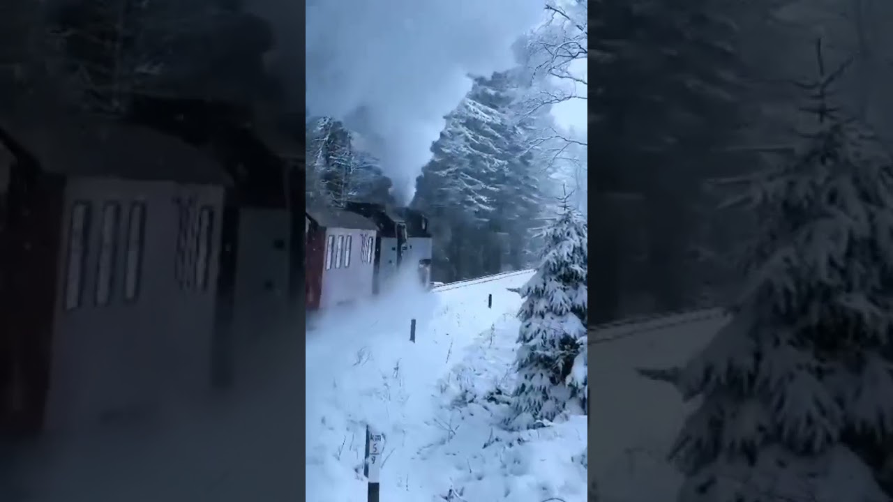 Train Status In Winters #shorts