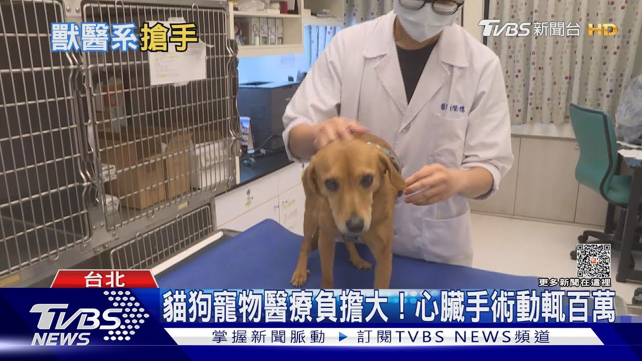 毛小孩市場大獸醫系超搶手! 獸醫新鮮人起薪其實超低?｜十點不一樣20230501 @TVBSNEWS01