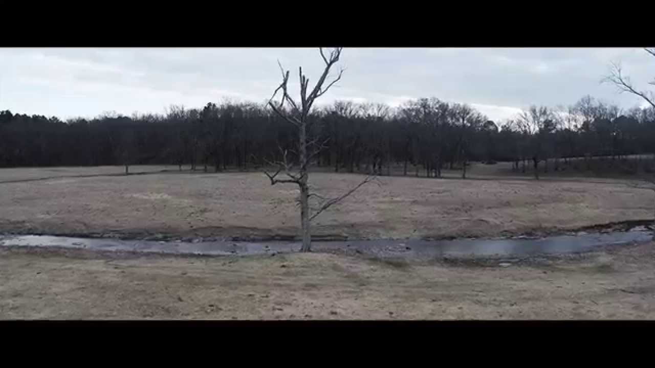 Cap Bailey - Dip-N-Brews (Official Video)