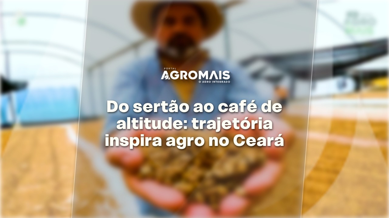 Café da Serra de Baturité: do sonho à referência no agro cearense - Vida de Agro T2 E02