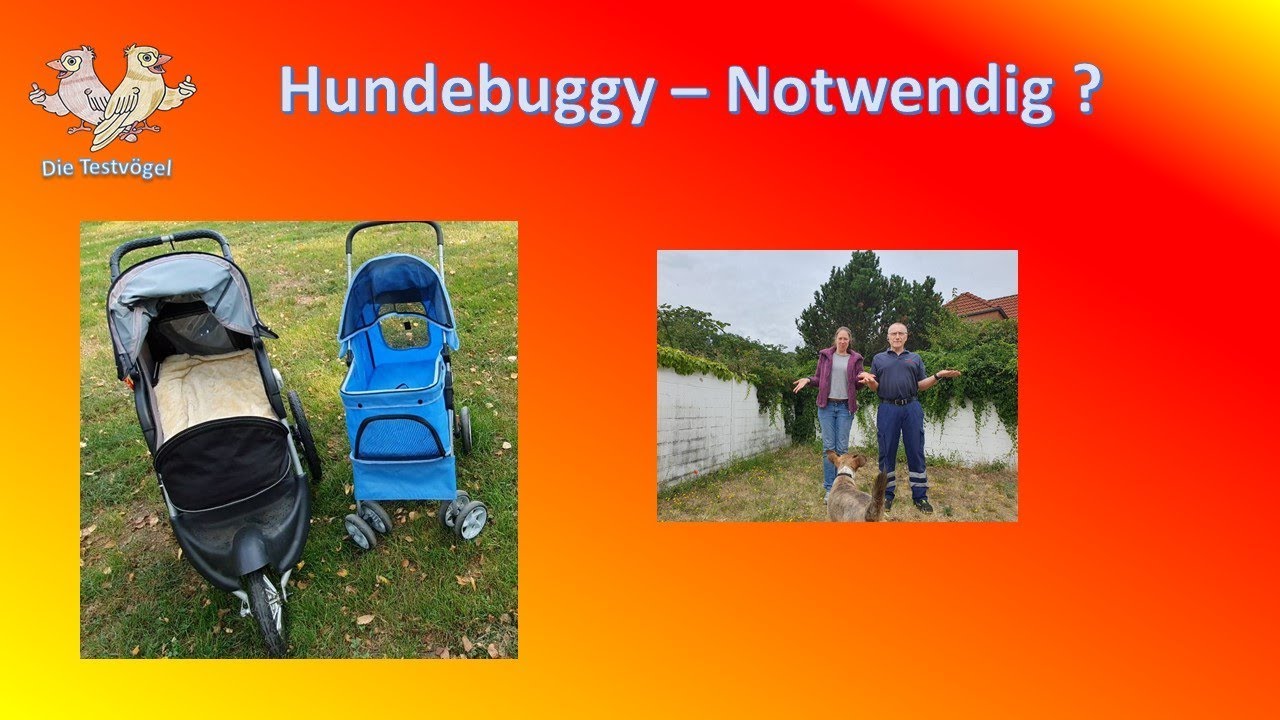 Die Testvögel teilen mit euch die Erfahrungen über Hundebuggys