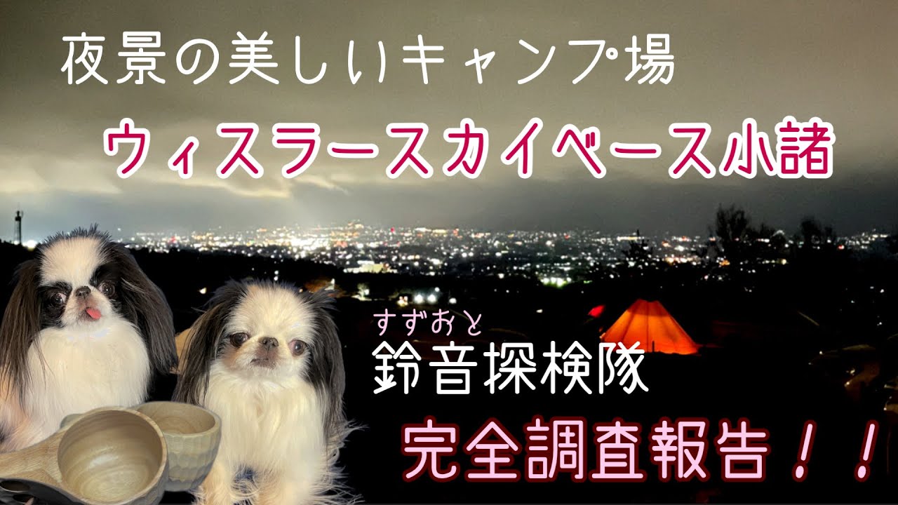 【サイト紹介】夜景の美しいキャンプ場ウィスラースカイベース小諸完全調査報告