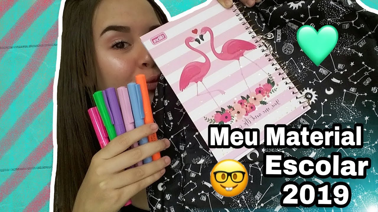MEU MATERIAL ESCOLAR 2019 ❤