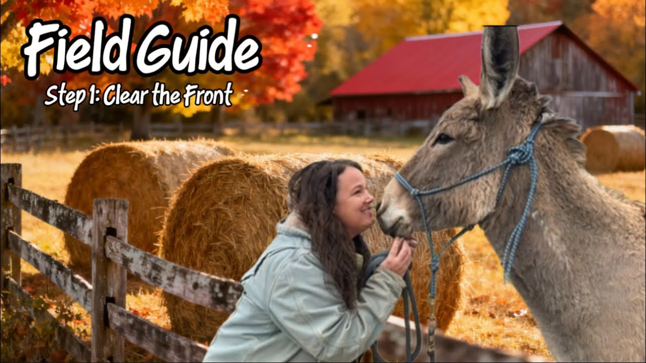 Leading Lessons: What Your Donkey Needs to Understand First