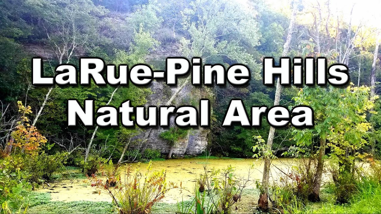 Larue-Pine Hills Natural Area...Frog Road?