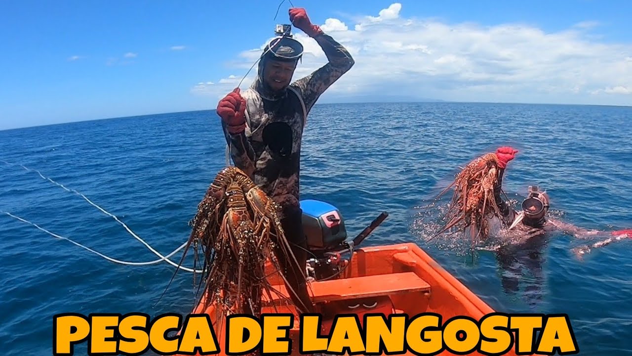 PESCA DE LANGOSTA EN UNA BUENA ZONA DE #PESCA