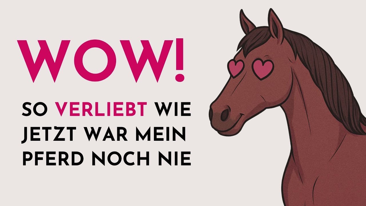 Vertrauen aufbauen - 3 einfache Wege zu echter Pferdefreundschaft