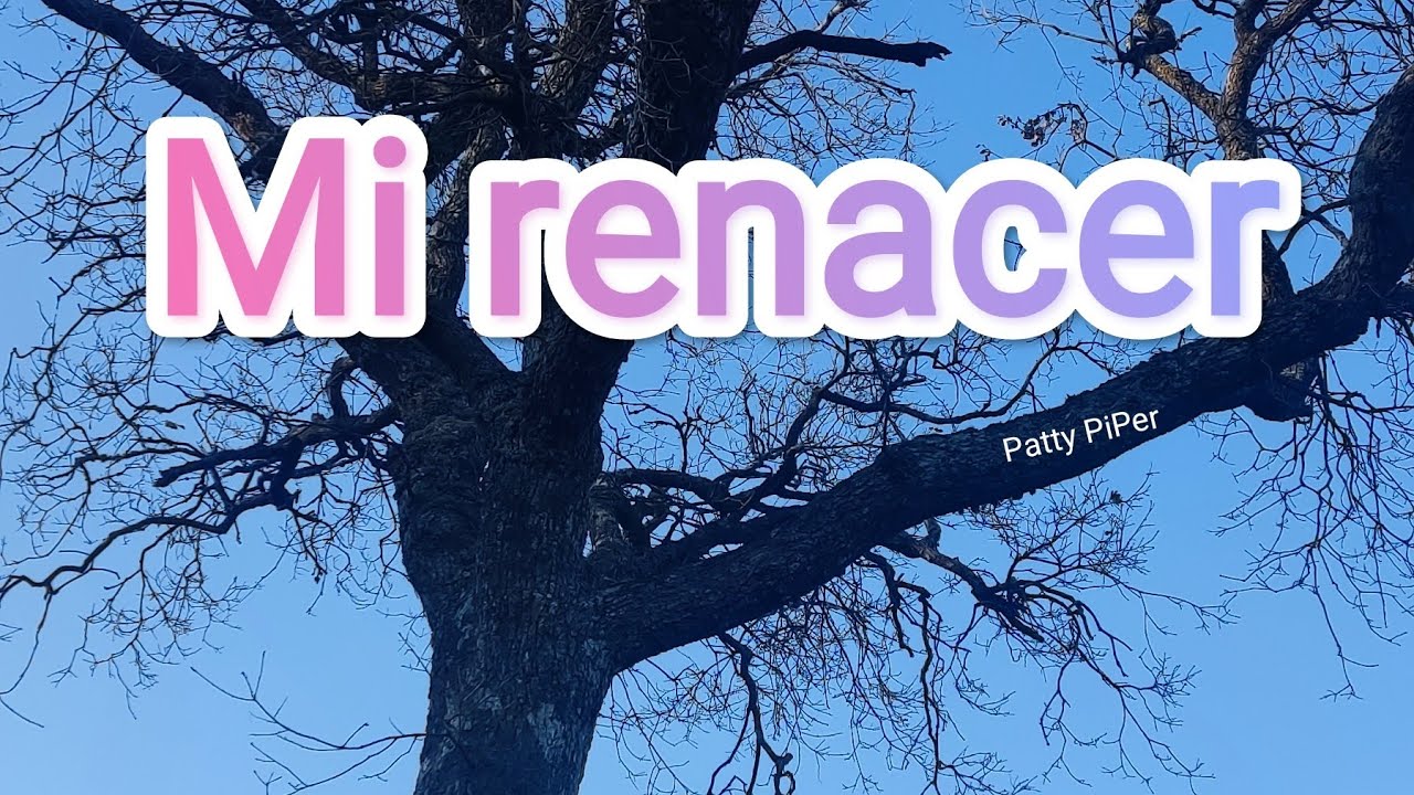 ​Mi Renacer | Soul-Jazz & Reggaeton Fusion (Official Audio)
