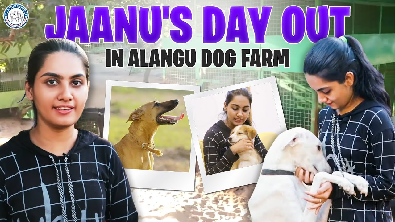 JAANU'S DAY OUT IN Alangu Dog farm @Beingjaanu