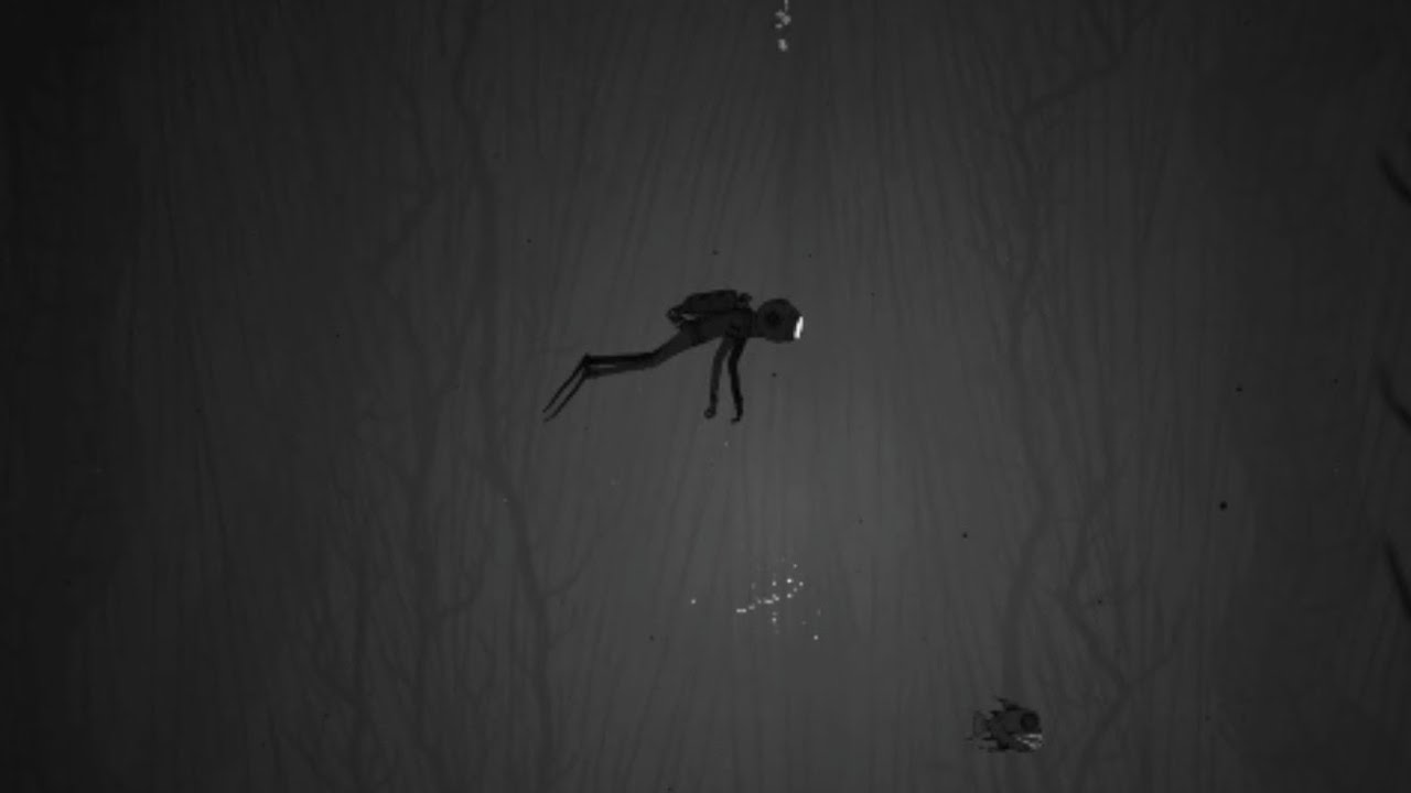 SILT #silt #diver #ocean
