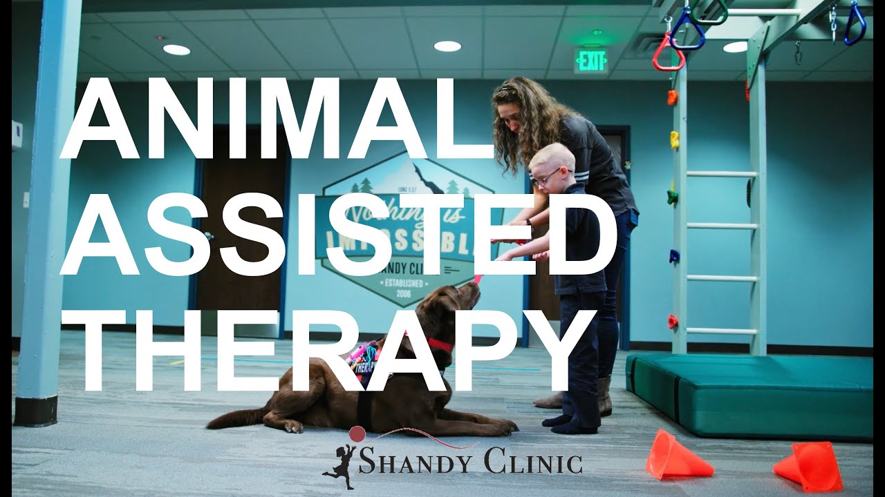 Animal Assisted Children's Therapy at the Shandy Clinic