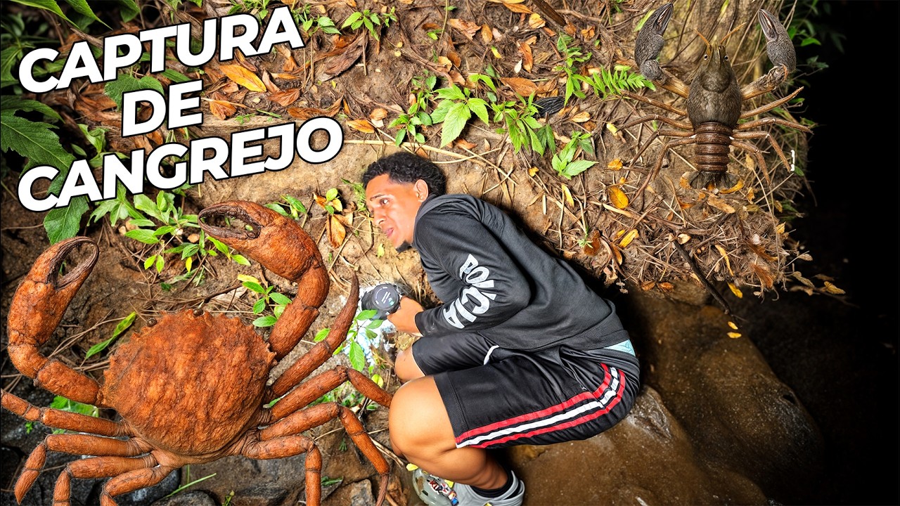 Atrapando Cangrejos de NOCHE
