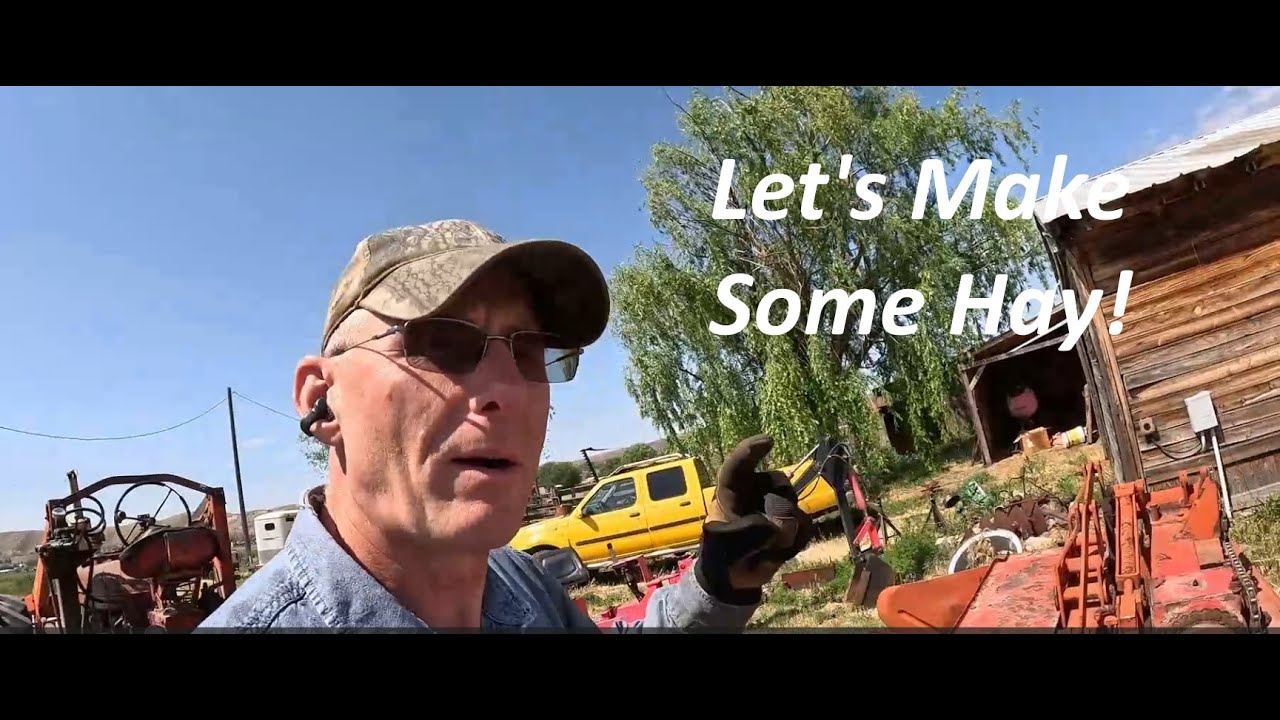 Raking and Baling 2025