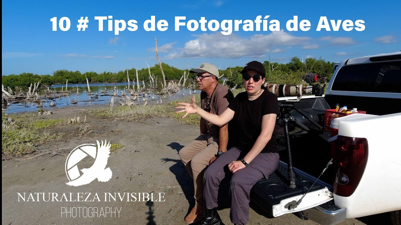 10 Tips # para fotografiar de aves