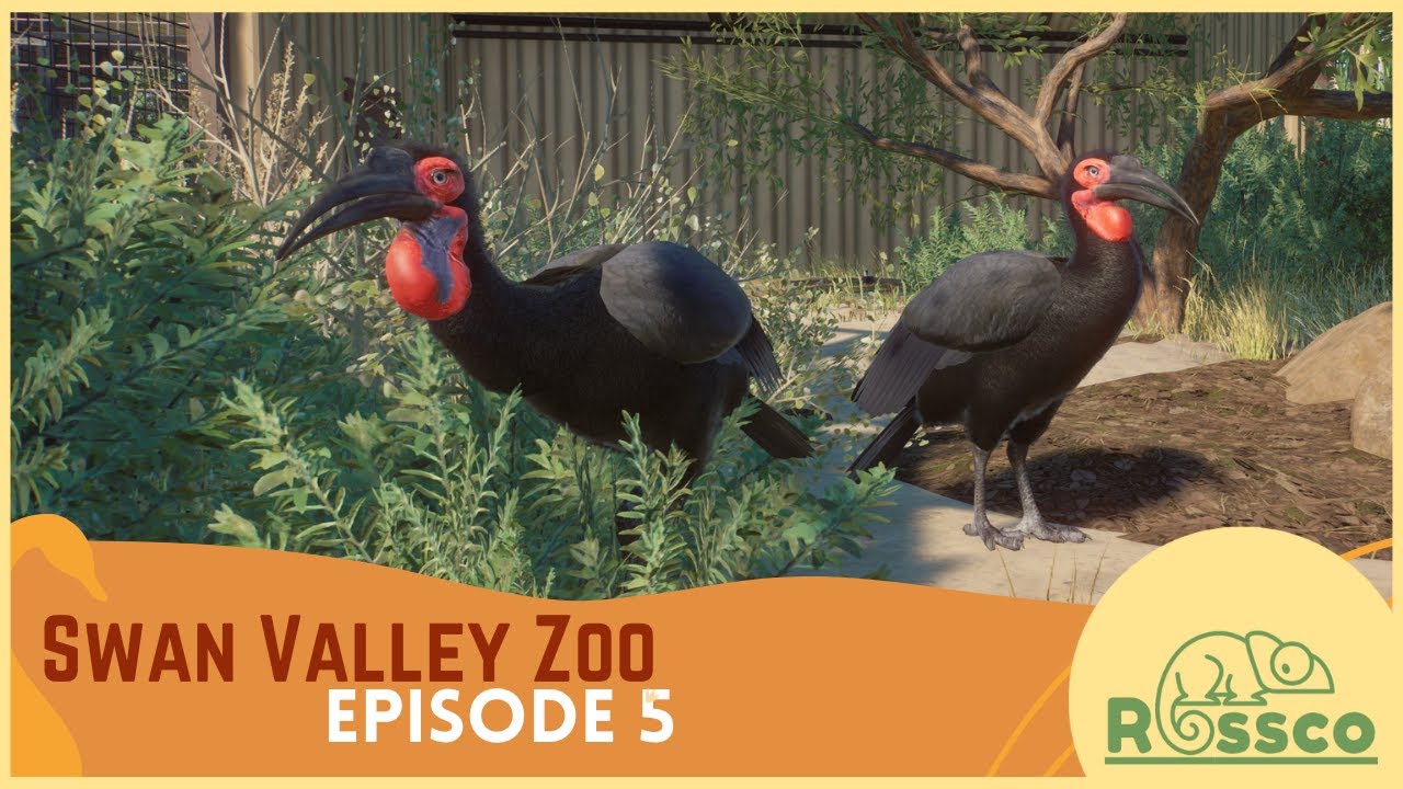 Africa: Hornbill Aviary | Swan Valley Zoo - Episode 5 | Planet Zoo Sandbox