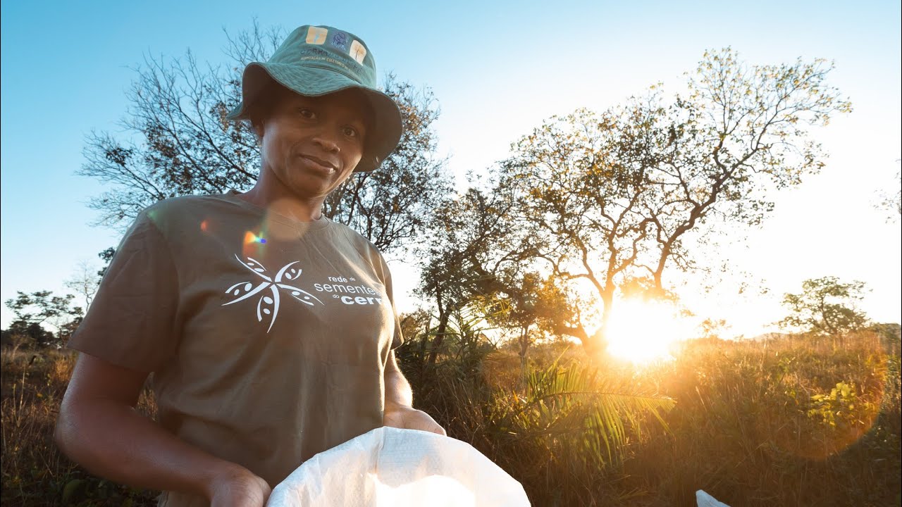 Saiba como é o trabalho de restauração do Cerrado (Cerrado de Pé)