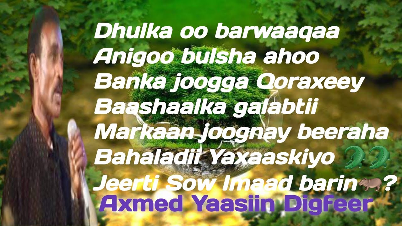 digfeer bulo | digfeer qoraxey | digfeer qaraami lyrics | digfeer lyrics | digfeer banka qorahay