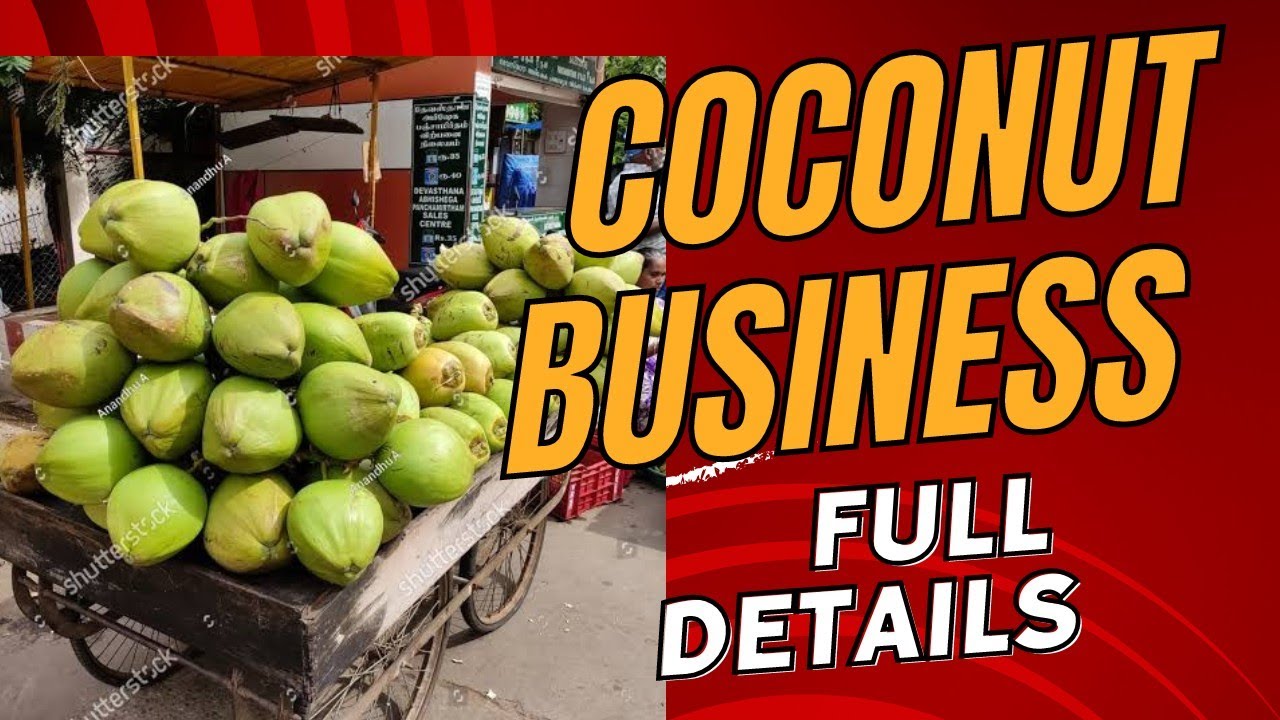 Coconut business kaise kare shuru , nariyal pani kaha se le #coconut #nariyalpani