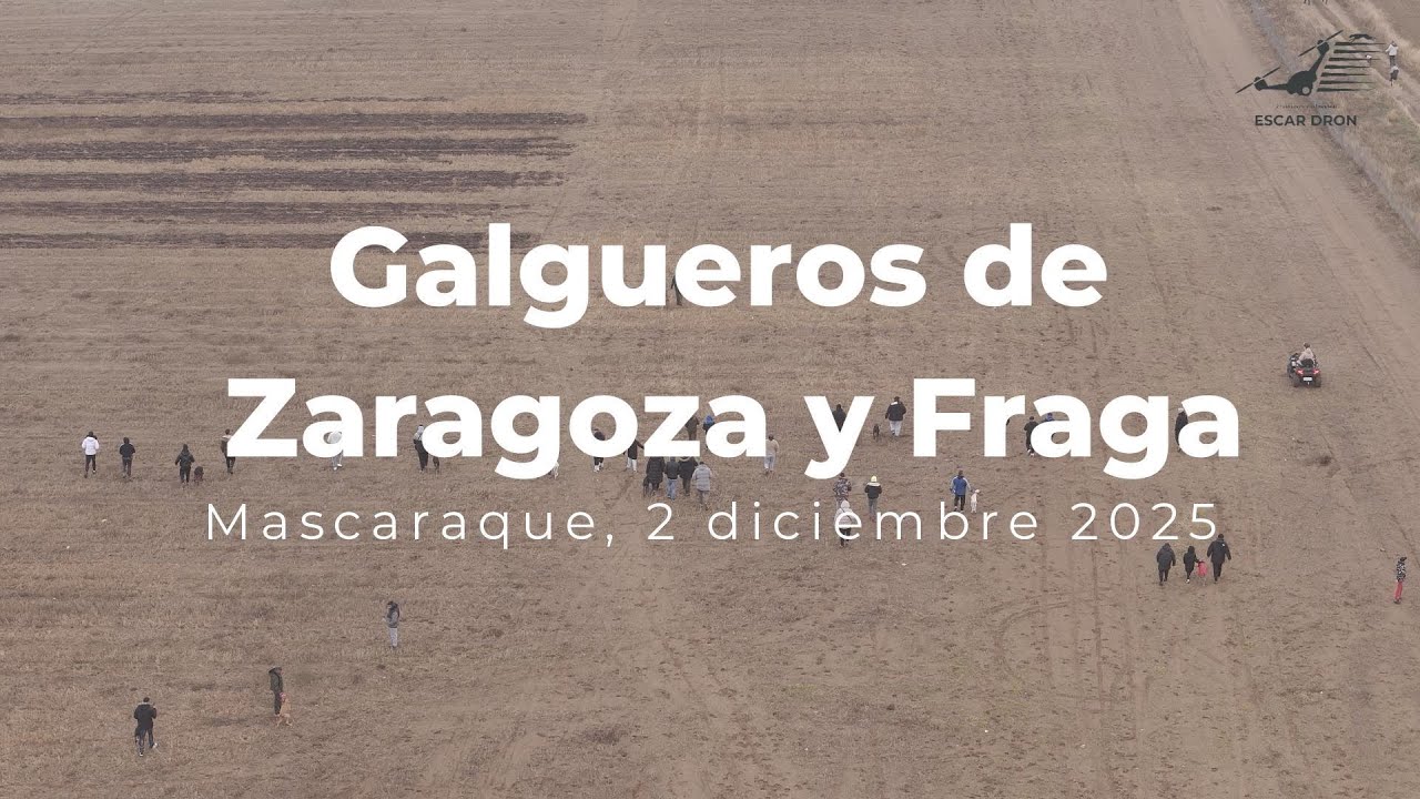 Galgueros de Zaragoza y Fraga