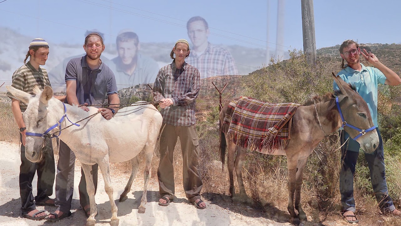 שחזור תמונות נריה