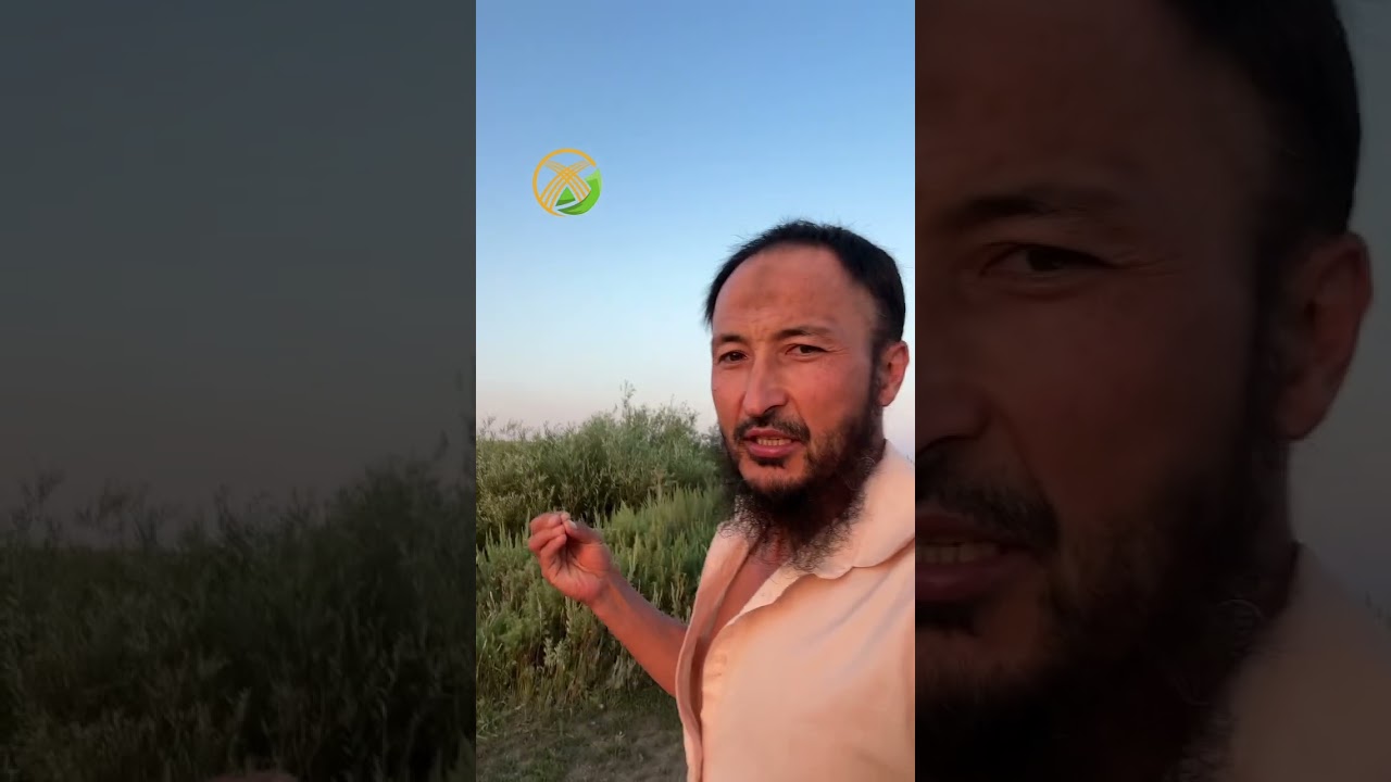 Иман келтірмеген нәрсені уағыздаппын!