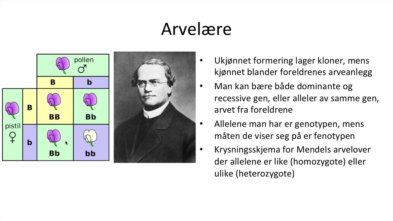 Naturfag - Genetikk, arv og miljø