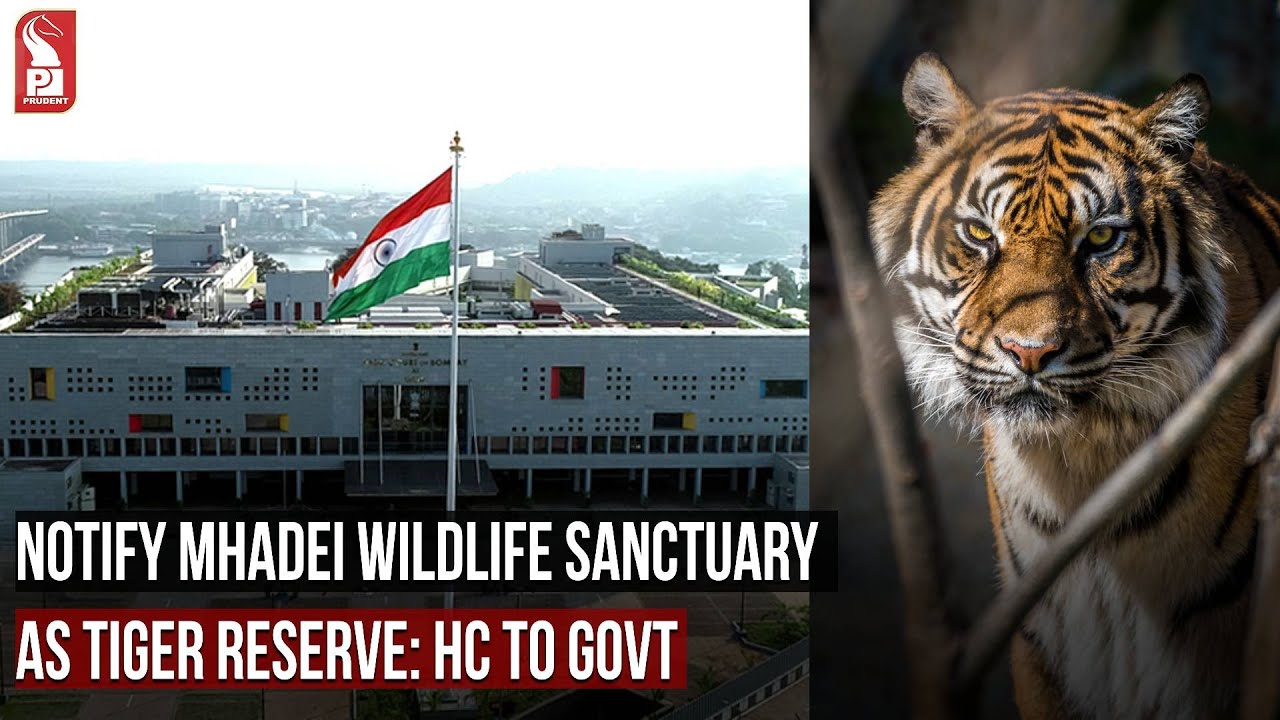 NOTIFY MHADEI WILDLIFE SANCTUARY AS TIGER RESERVE IN 3 MONTHS: HC
