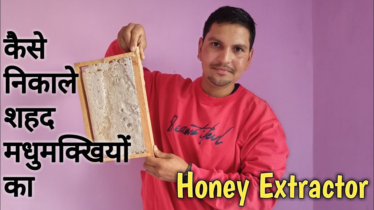मशीन से मधुमक्खियों का शहद कैसे निकाले ! Honey harvesting ! Extracting Honey ! Himalayan beekeepers