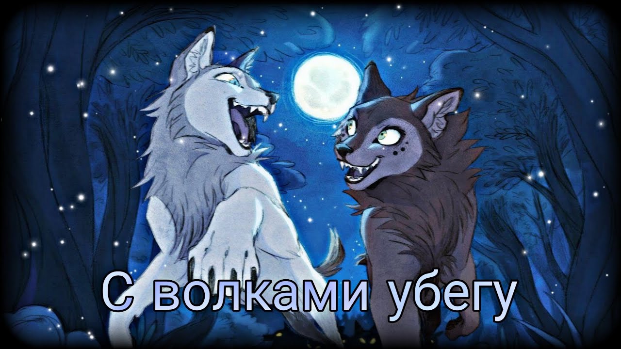 Wolfwalkers 