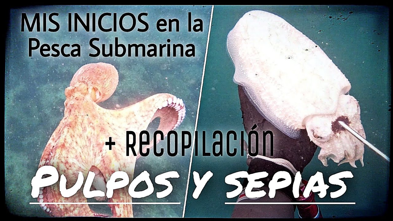 Pesca Submarina PULPOS Y SEPIAS GRANDES en Galicia y [Mi PRESENTACIÓN al canal]
