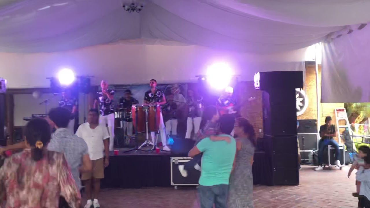 Las cebollas — Los Tropiboys de Acapulco