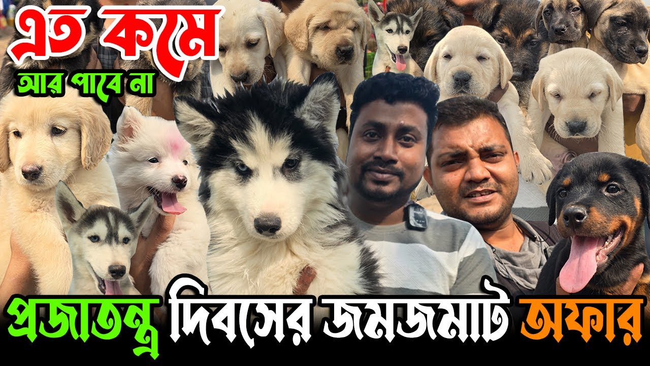 Shocking Truth About Kolkata’s Dog Market Price । Dog Market in Kolkata