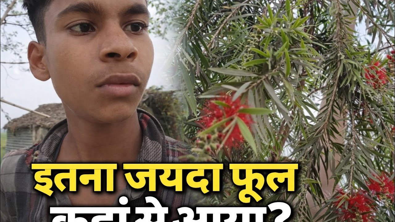 यह होली की क्यों जली और इतना जादा, फूल कहाँ से❌ पहले ही नही कर रहे👉 हैं और फिर भी नही तो क्या सनातन 